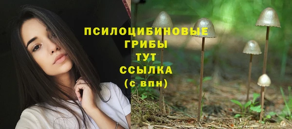 каннабис Покачи