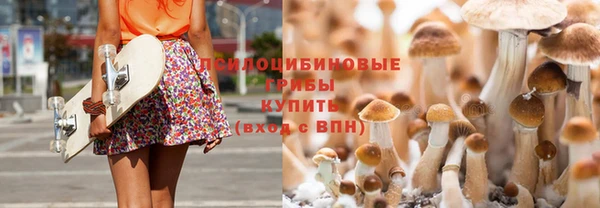 каннабис Покачи