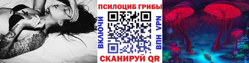 Псилоцибиновые грибы Psilocybe  площадка клад  Кремёнки  ОМГ ОМГ ссылка 